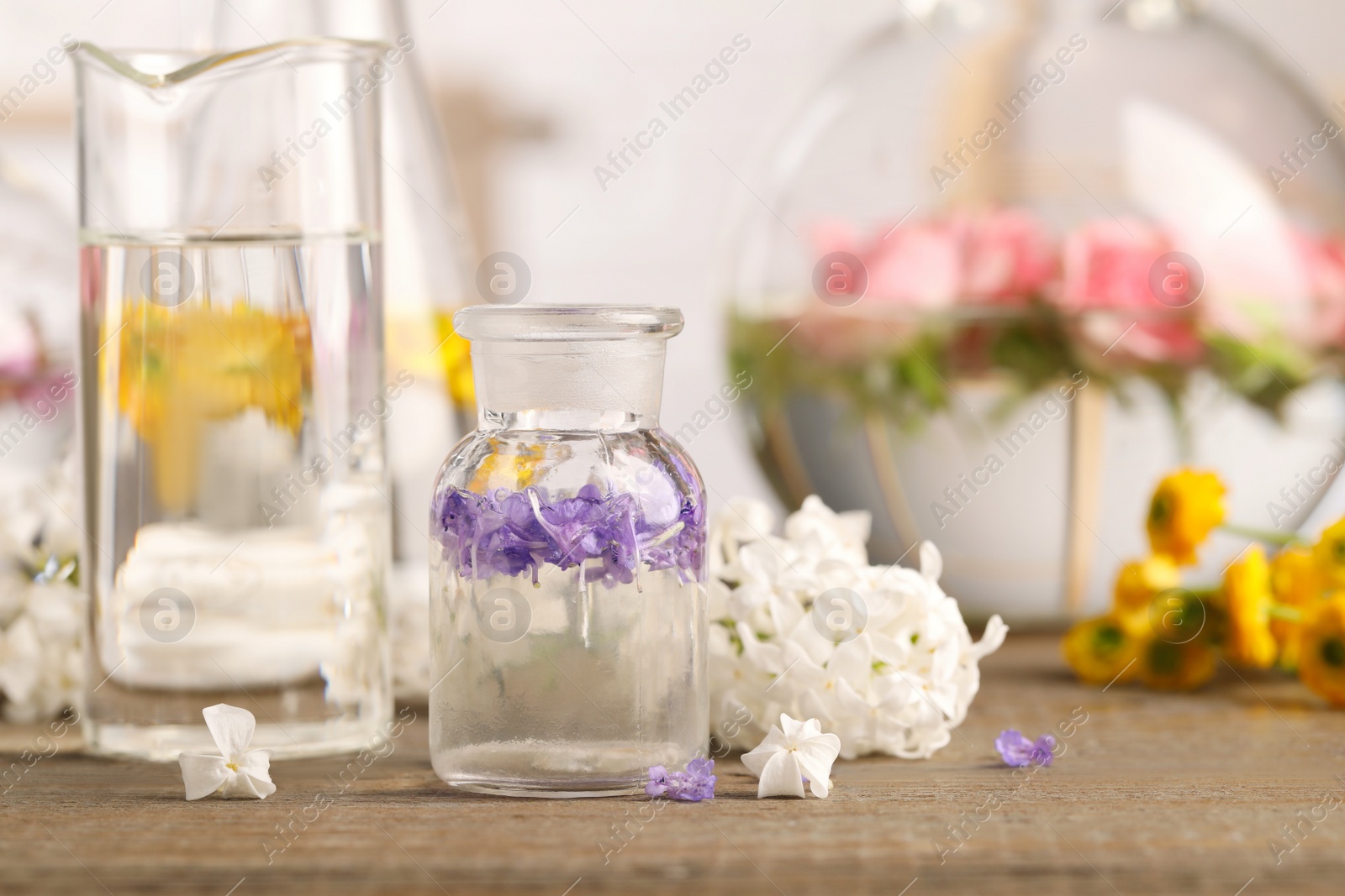 Photo of Laboratory glassware with flowers on wooden table. Extracting essential oil for perfumery and cosmetics