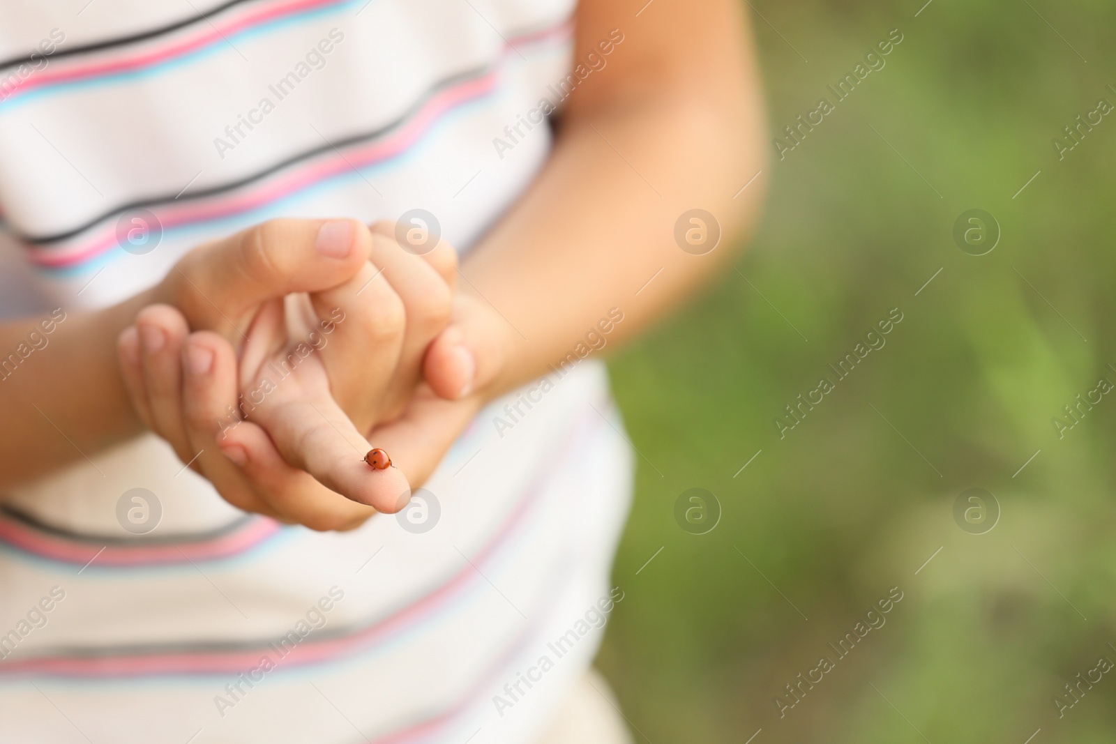 Photo of Closeup view of little boy playing with ladybug outdoors, space for text. Child spending time in nature