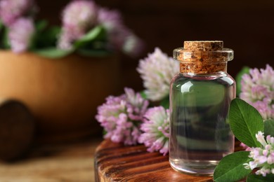 Photo of Beautiful clover flowers and bottle of essential oil on wooden board, closeup. Space for text