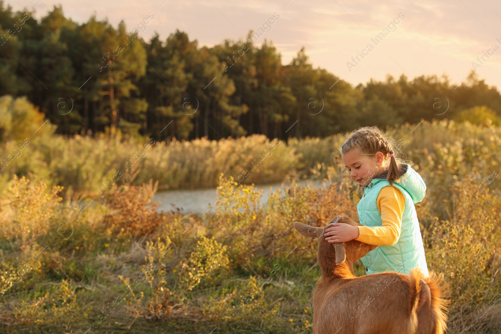 Photo of Farm animal. Cute little girl with goat on pasture, space for text