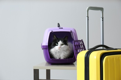 Cute cat sitting in pet carrier and suitcase on grey background