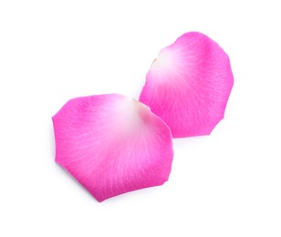 Photo of Two pink rose petals on white background
