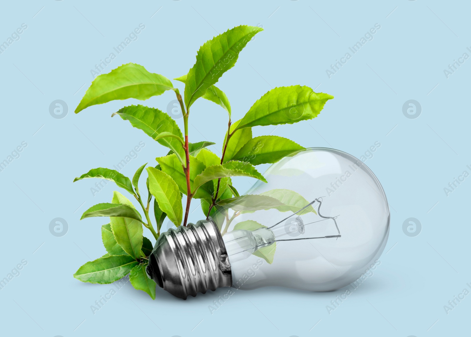Image of Saving energy, eco-friendly lifestyle. Light bulb and fresh green leaves on light blue background