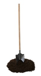 Photo of Shovel and pile of soil isolated on white
