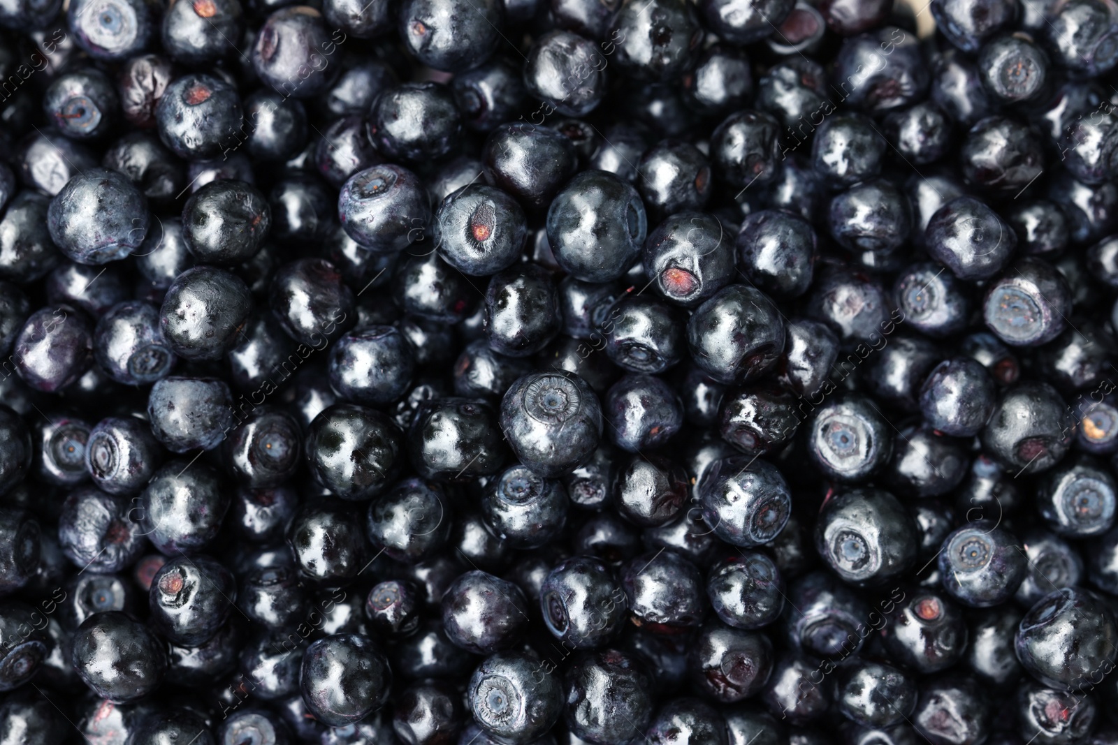 Photo of Many bilberries as background, top view. Seasonal berries