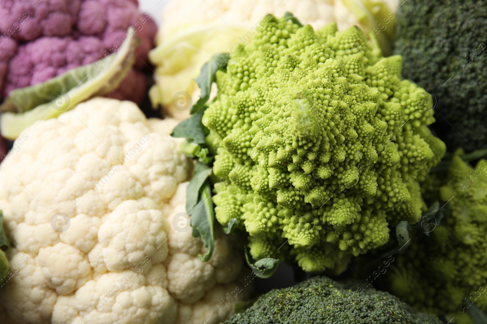 Photo of Different fresh cabbages as background, closeup view