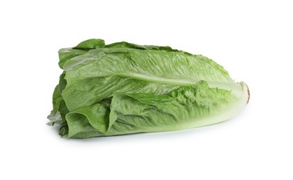 Photo of Fresh green romaine lettuce isolated on white