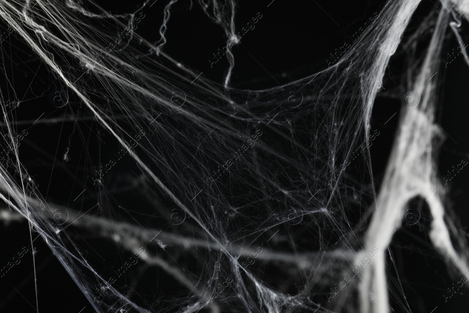 Photo of Creepy white cobweb on black background, closeup