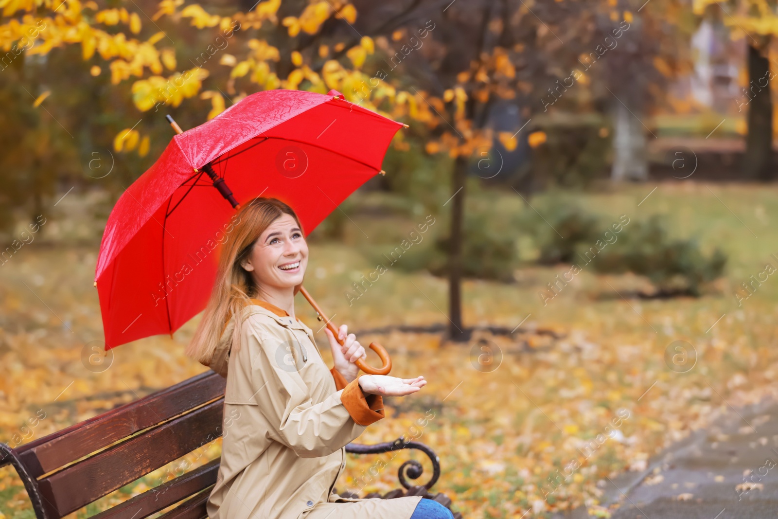 Photo of Woman with umbrella sitting on bench in autumn park. Rainy day