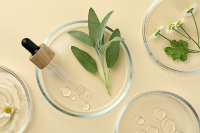 Flat lay composition with Petri dishes and plants on beige background