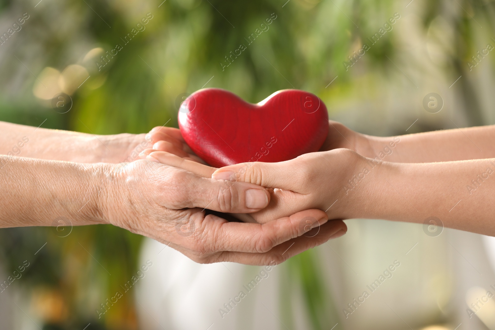 Photo of Young and elderly women holding red heart in hands on blurred green background, closeup