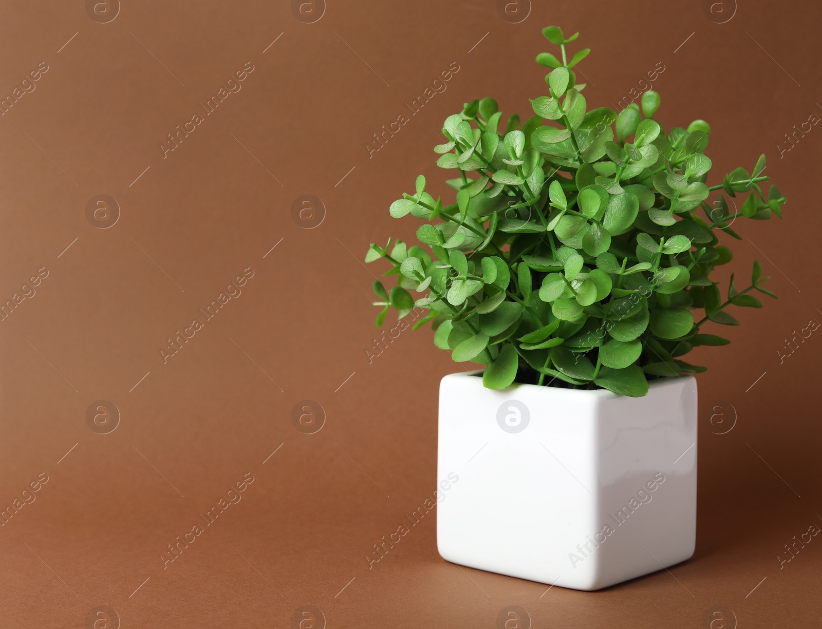 Photo of Beautiful artificial plant in flower pot on brown background, space for text