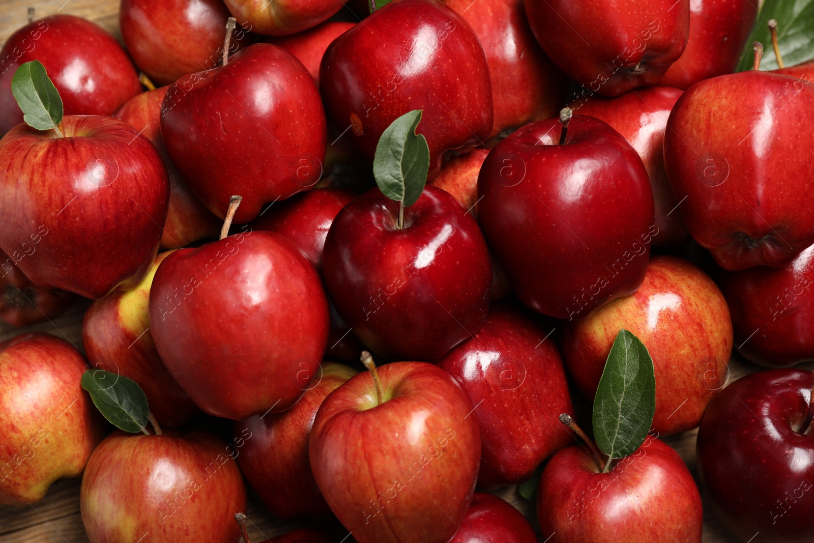 Photo of Fresh ripe red apples with leaves as background, top view