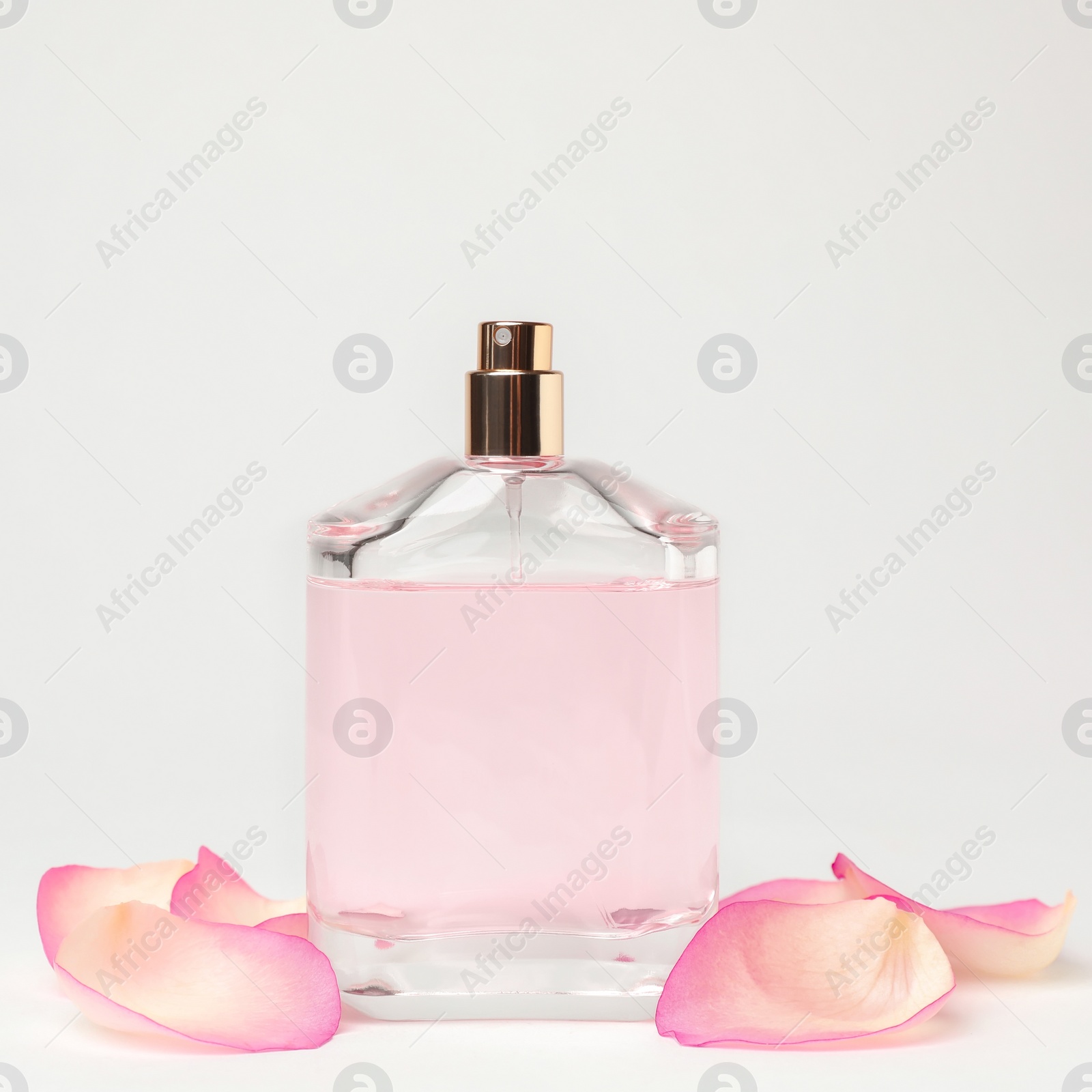 Photo of Transparent bottle of perfume and flower petals on white background