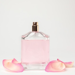 Transparent bottle of perfume and flower petals on white background