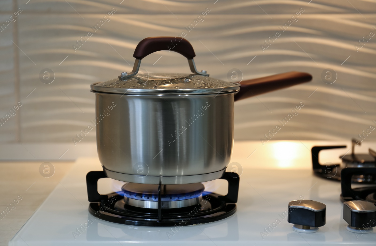 Photo of Pot on modern kitchen stove with burning gas