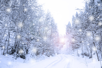 Image of Picturesque view of road near snowy forest on winter day