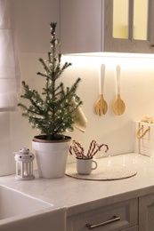 Small Christmas tree and festive decor on countertop in kitchen