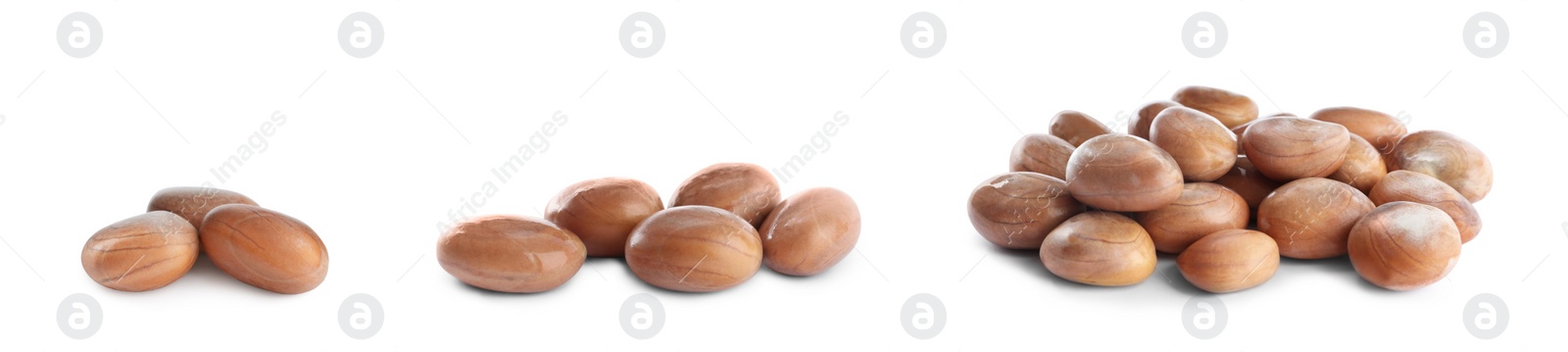 Image of Set with jackfruit seeds on white background. Banner design