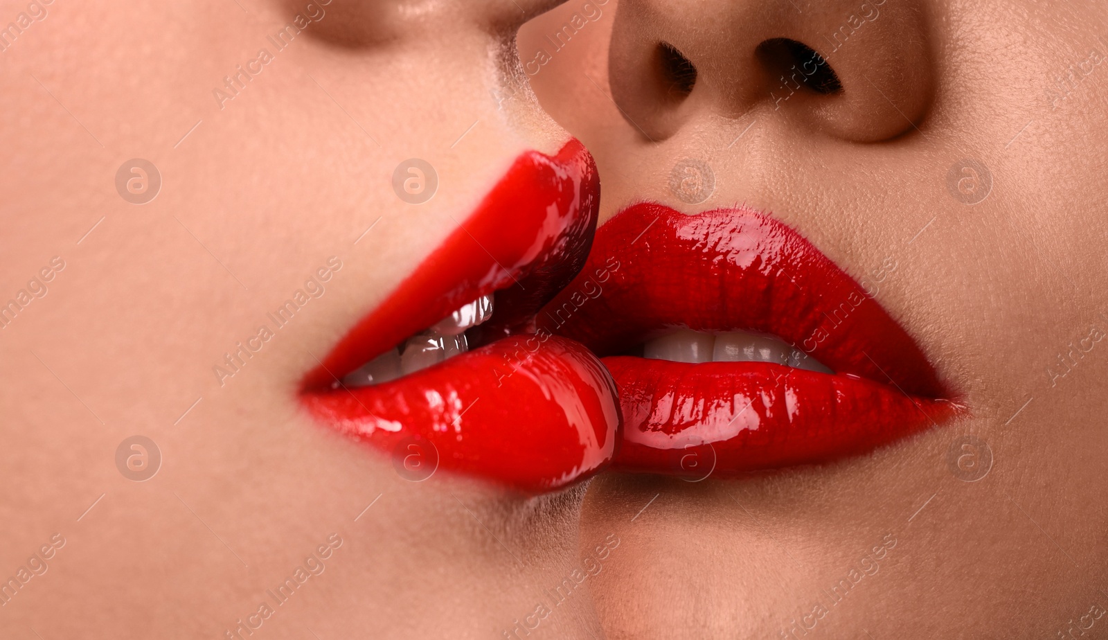 Image of Closeup view of girls kissing each other. Lesbian couple