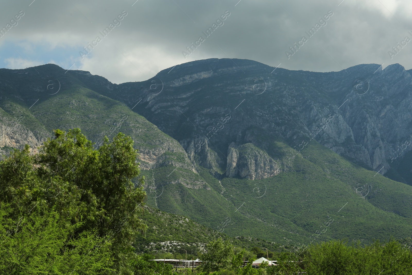 Photo of Picturesque view of beautiful mountain and trees under grey sky