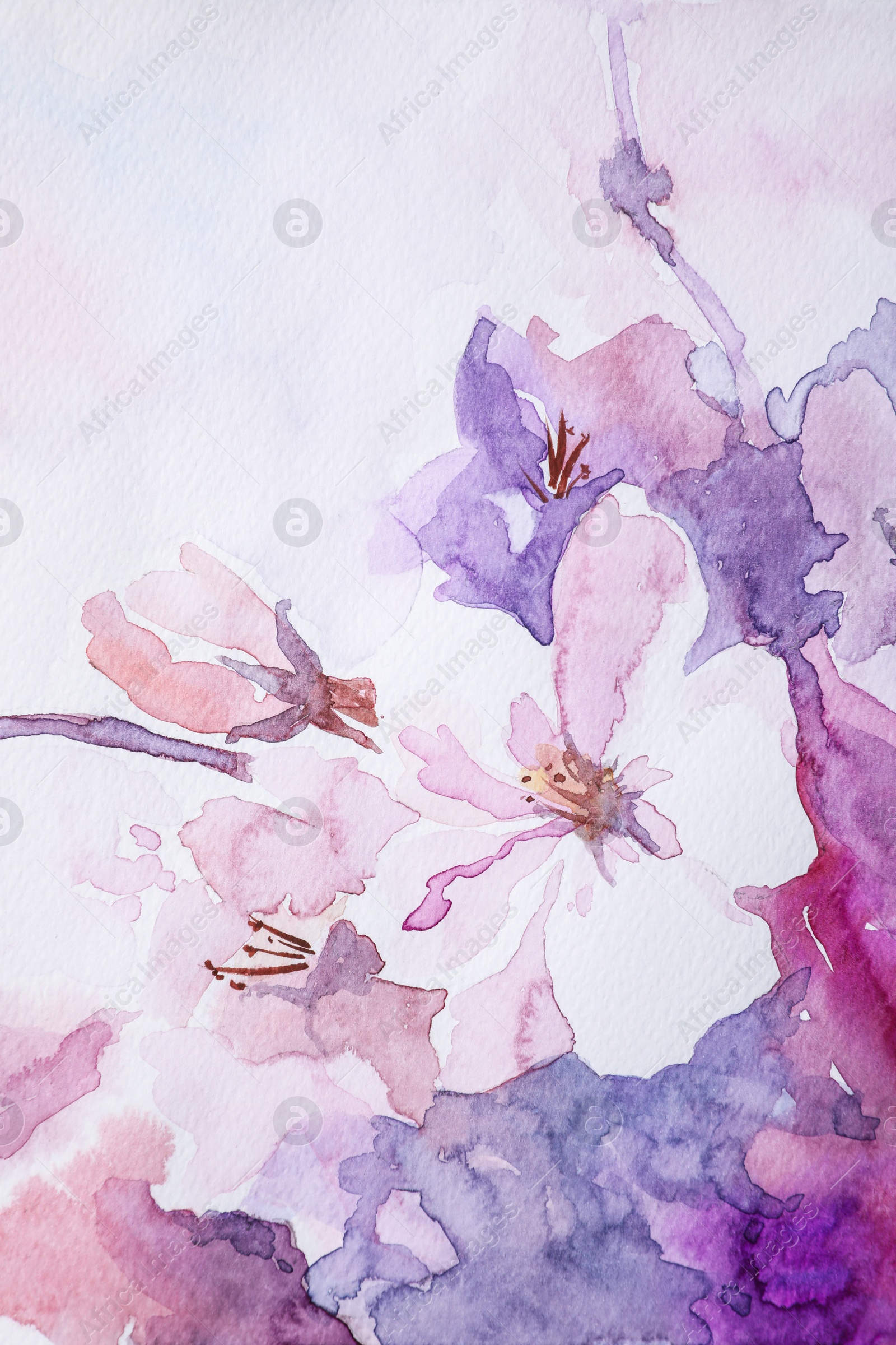 Photo of Closeup view of beautiful floral watercolor painting