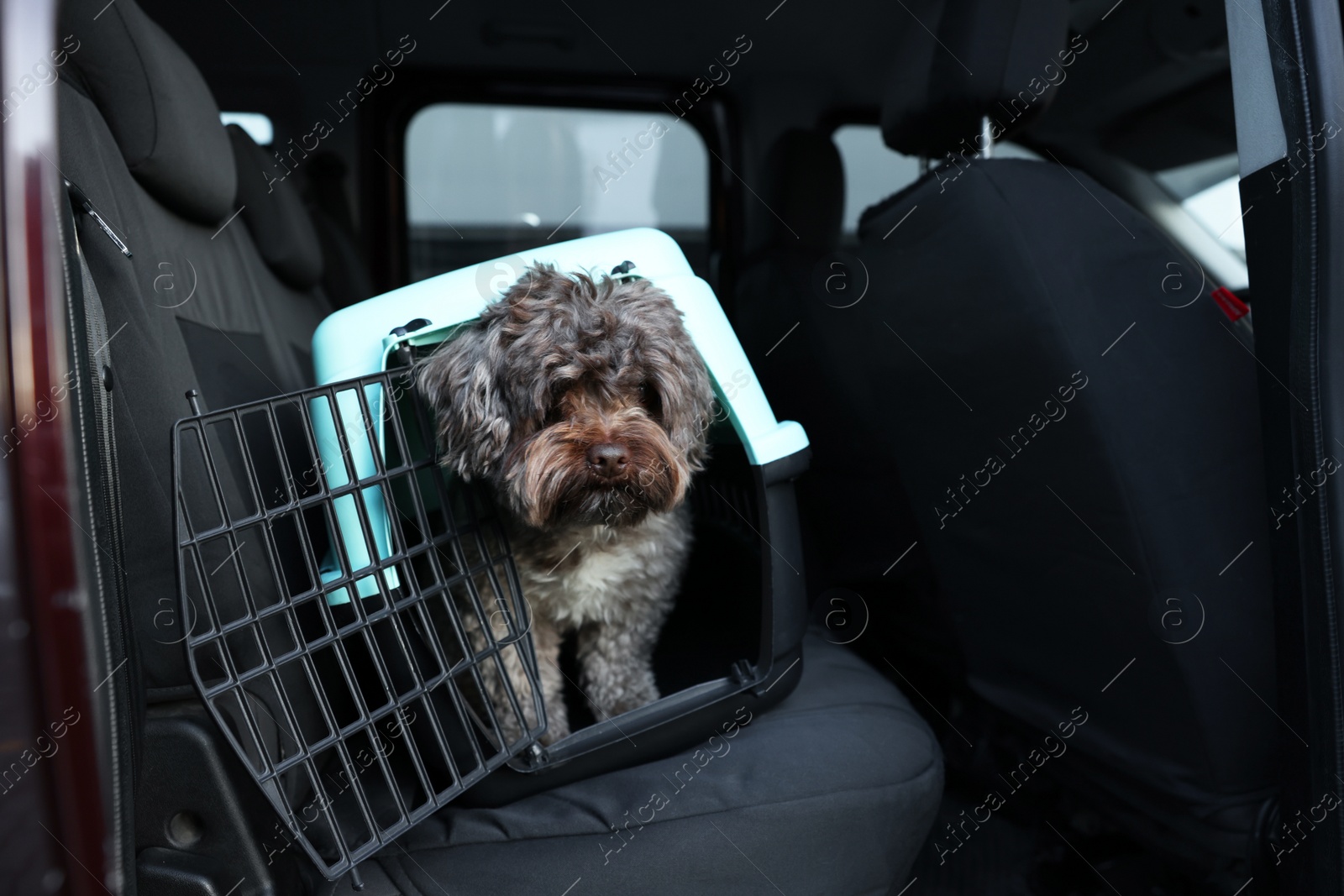 Photo of Cute dog in pet carrier travelling by car. Safe transportation