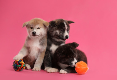 Photo of Cute Akita inu puppies with toys on pink background. Friendly dogs