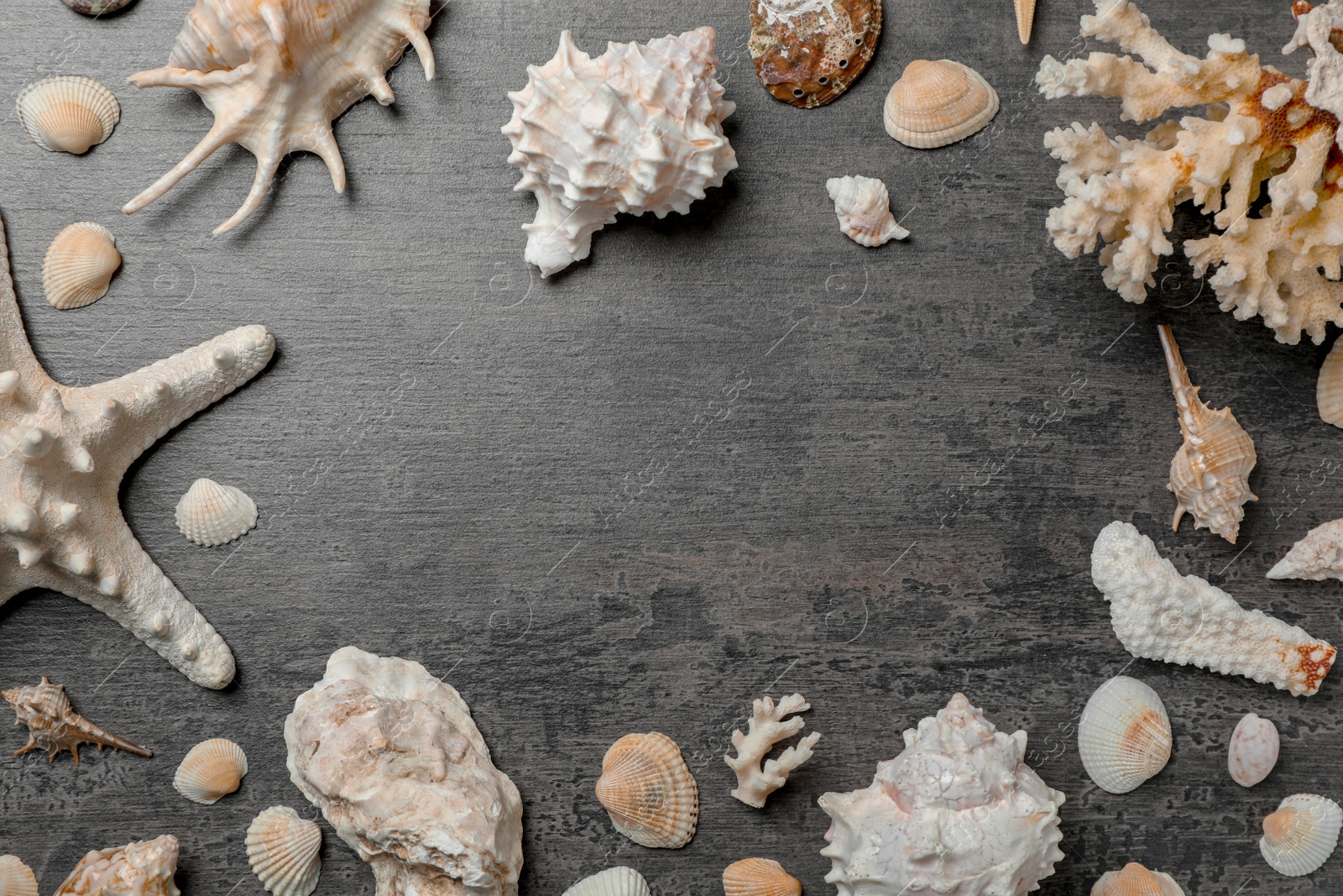 Photo of Flat lay composition with seashells on wooden background. Beach objects