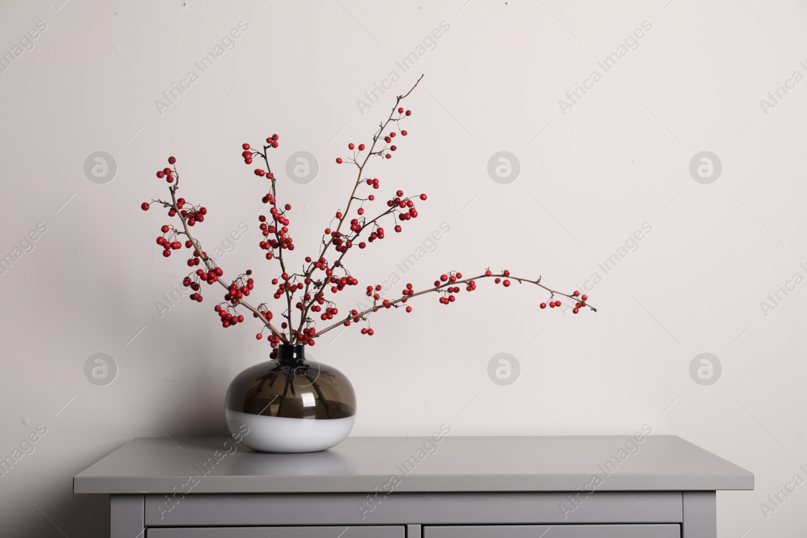 Photo of Hawthorn branches with red berries in vase on grey table indoors, space for text