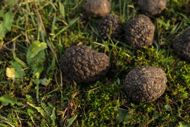 Photo of Fresh truffles on green grass, closeup view