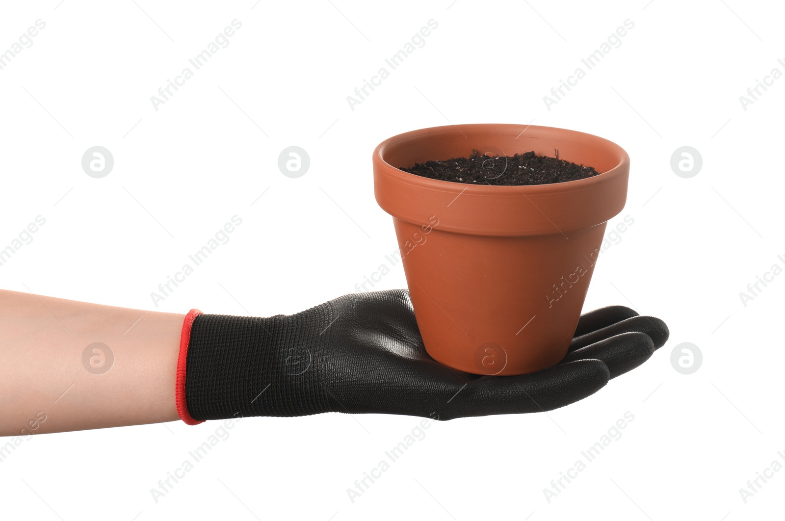 Photo of Woman holding terracotta flower pot filled with soil on white background, closeup