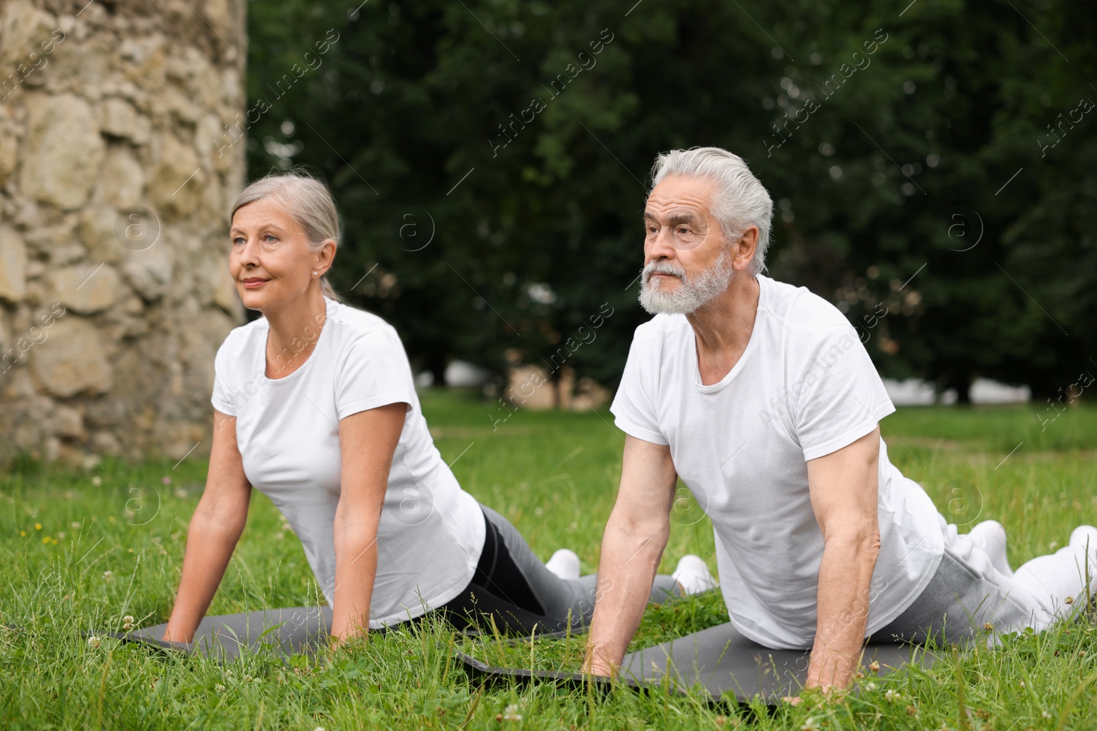 Photo of Senior couple practicing yoga on green grass in park