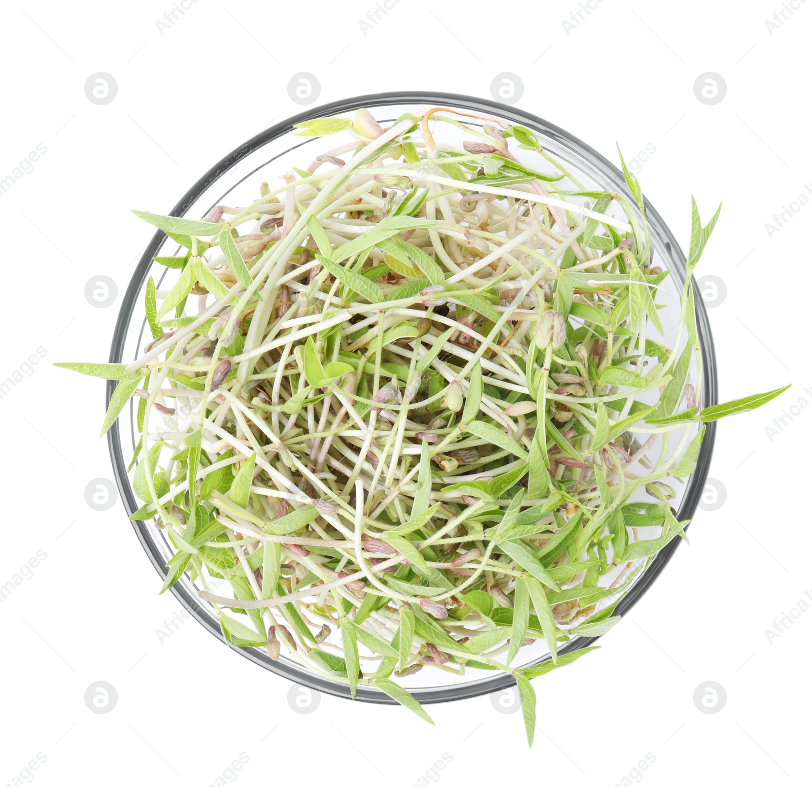 Photo of Mung bean sprouts in glass bowl isolated on white, top view