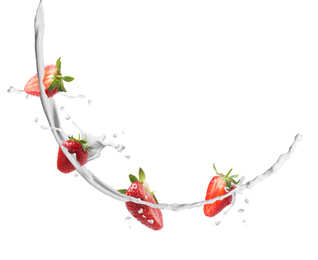 Fresh strawberries with milk splash on white background