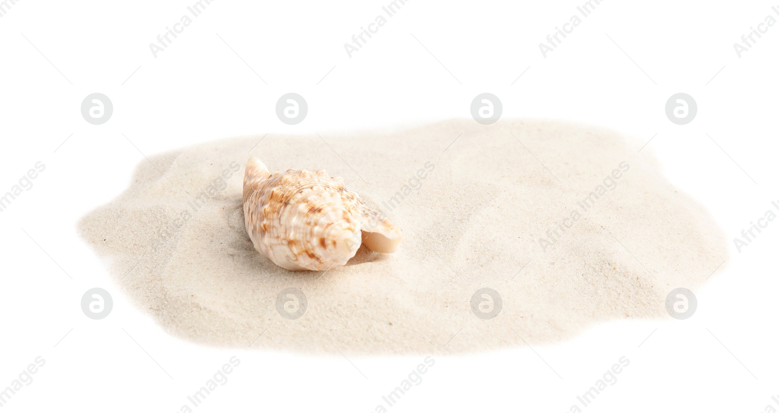 Photo of Pile of beach sand with sea shell on white background