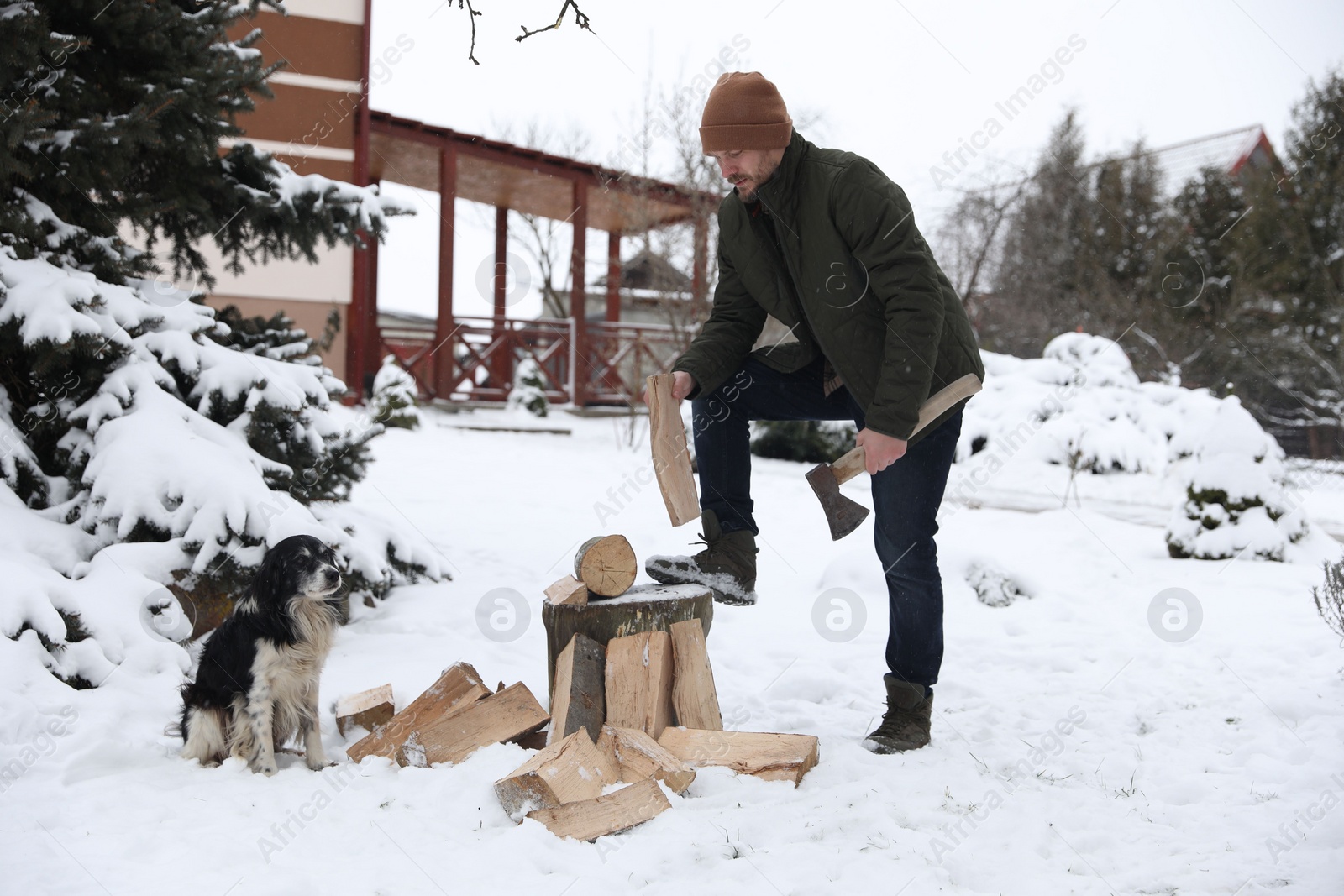 Photo of Man chopping wood with axe next to cute dog outdoors on winter day