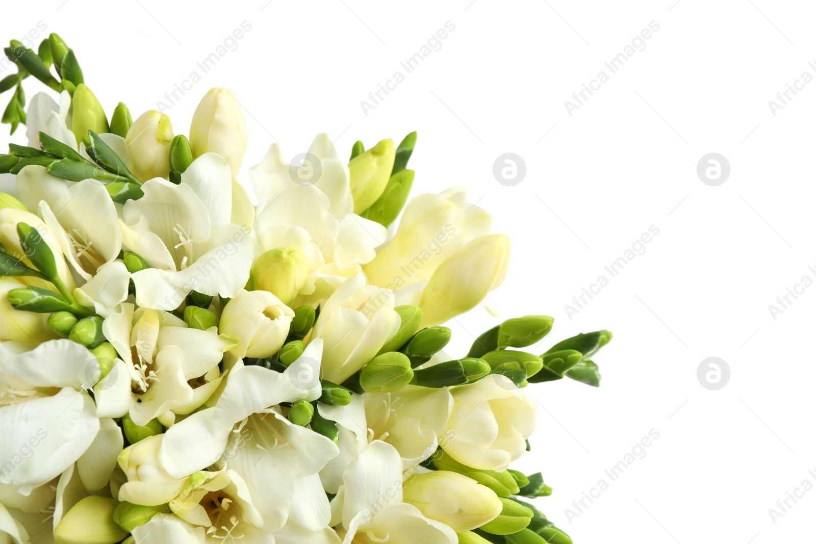 Photo of Beautiful aromatic freesia bouquet isolated on white