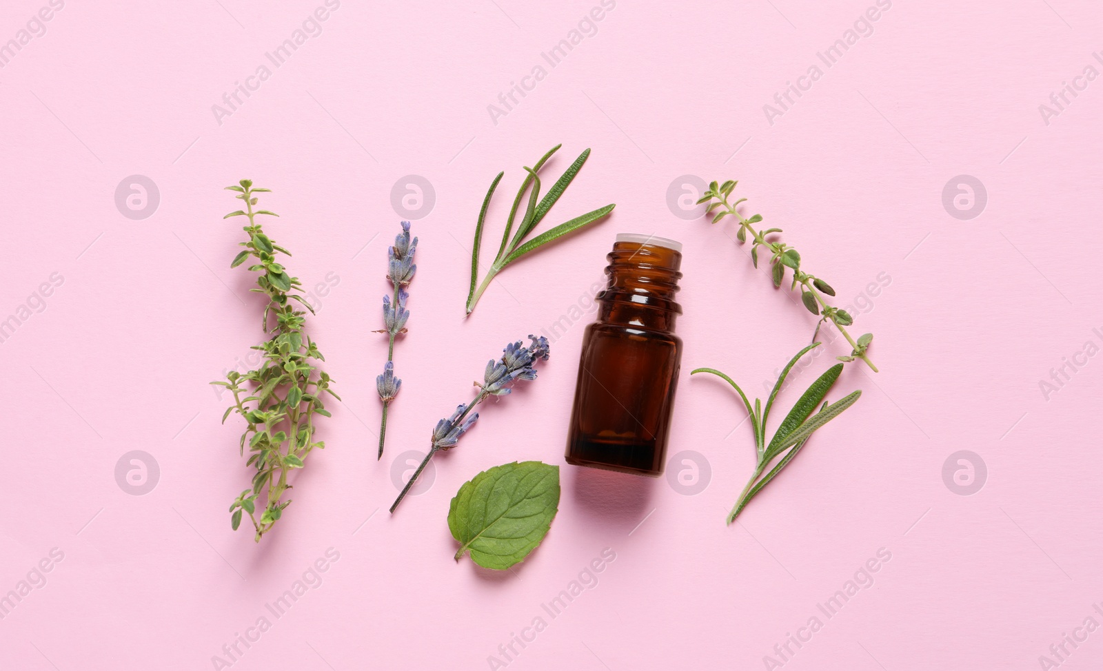 Photo of Bottle of essential oil, different herbs and lavender flowers on pink background, flat lay