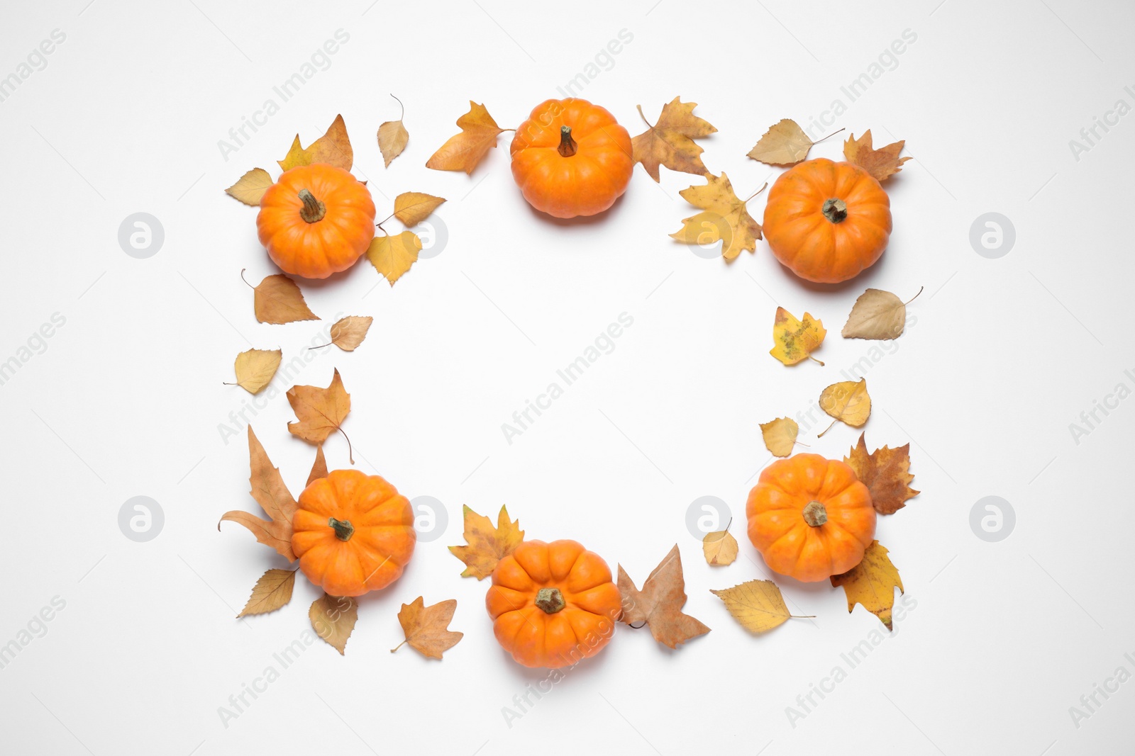 Photo of Frame made of pumpkins and autumn leaves on white background, top view. Space for text