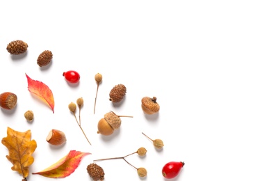 Photo of Beautiful composition with autumn leaves on white background, flat lay. Space for text