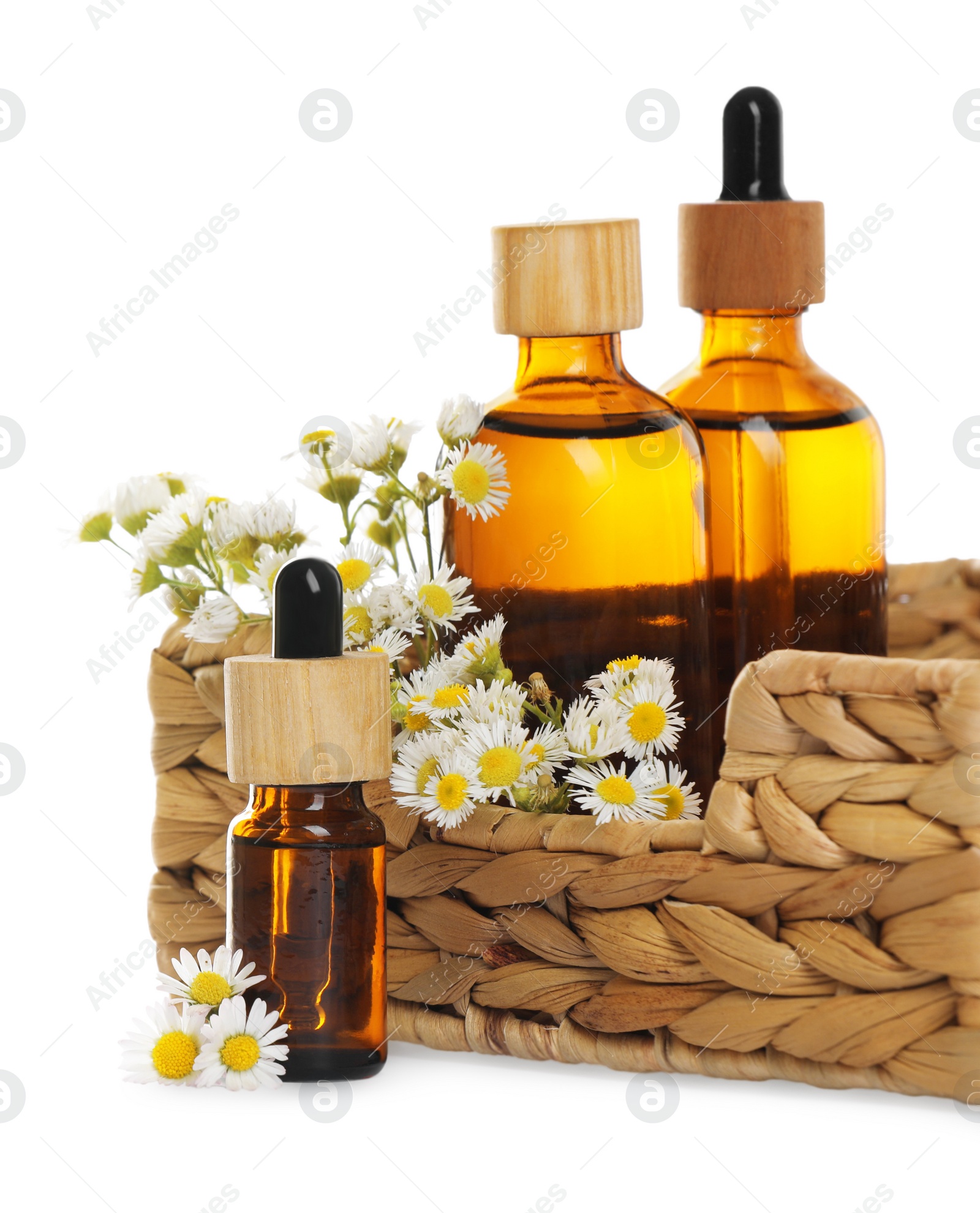 Photo of Bottles of chamomile essential oil and flowers on white background