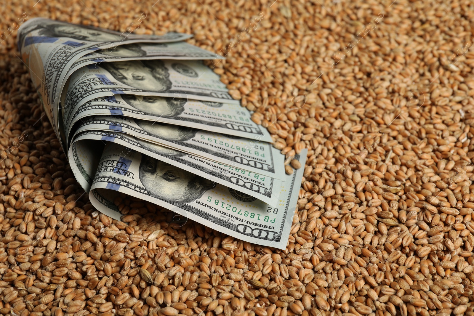 Photo of Dollar banknotes on wheat grains, closeup. Agricultural business