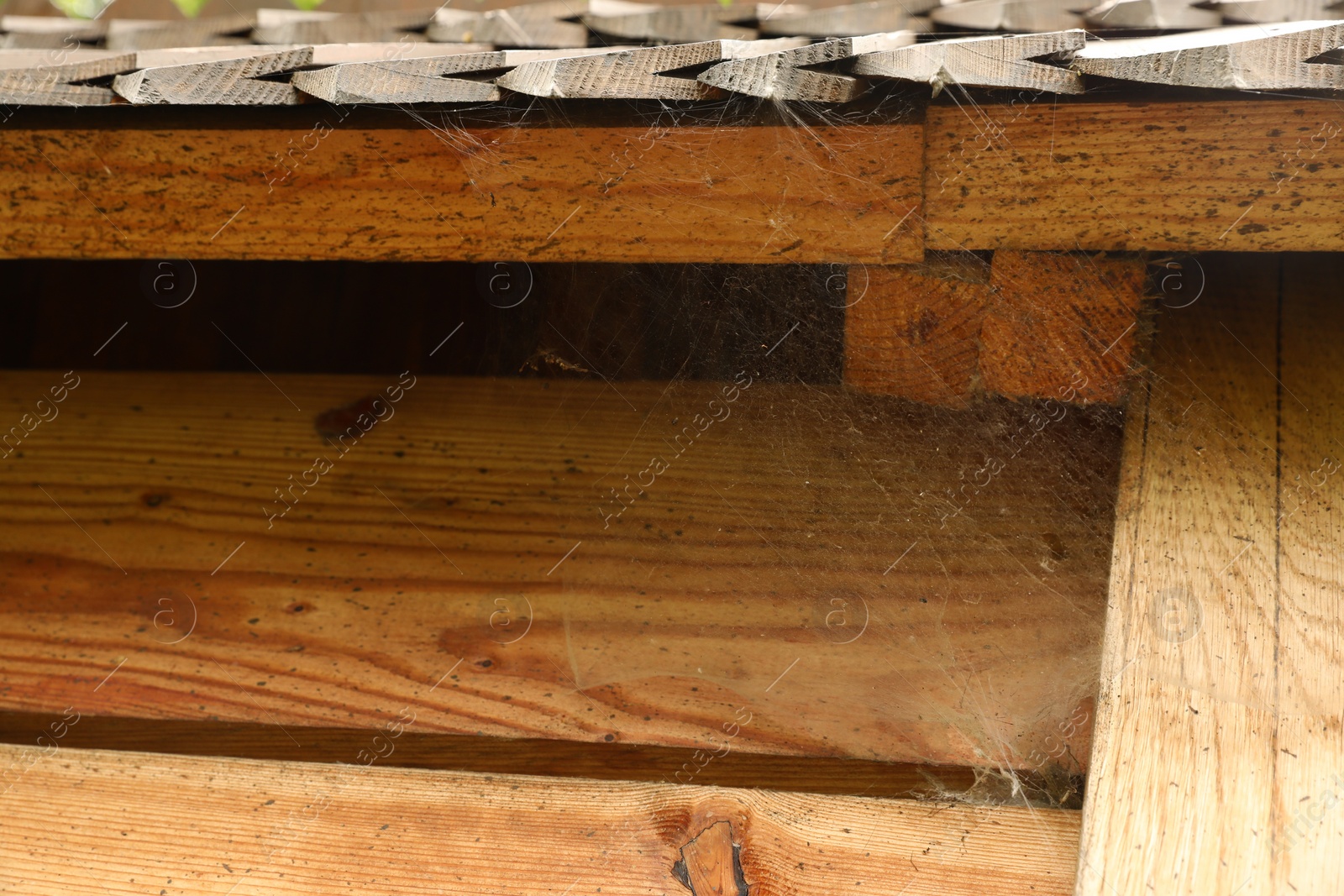 Photo of Dusty cobweb on wooden building outdoors, closeup