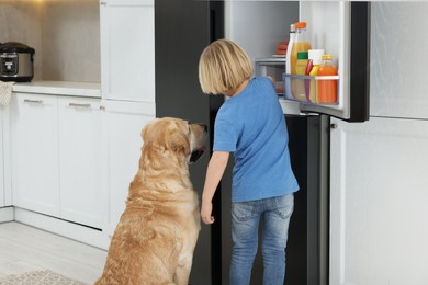 Photo of Little boy and cute Labrador Retriever seeking for food in kitchen refrigerator, back view
