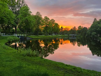 Picturesque view of pond and green grass at sunset