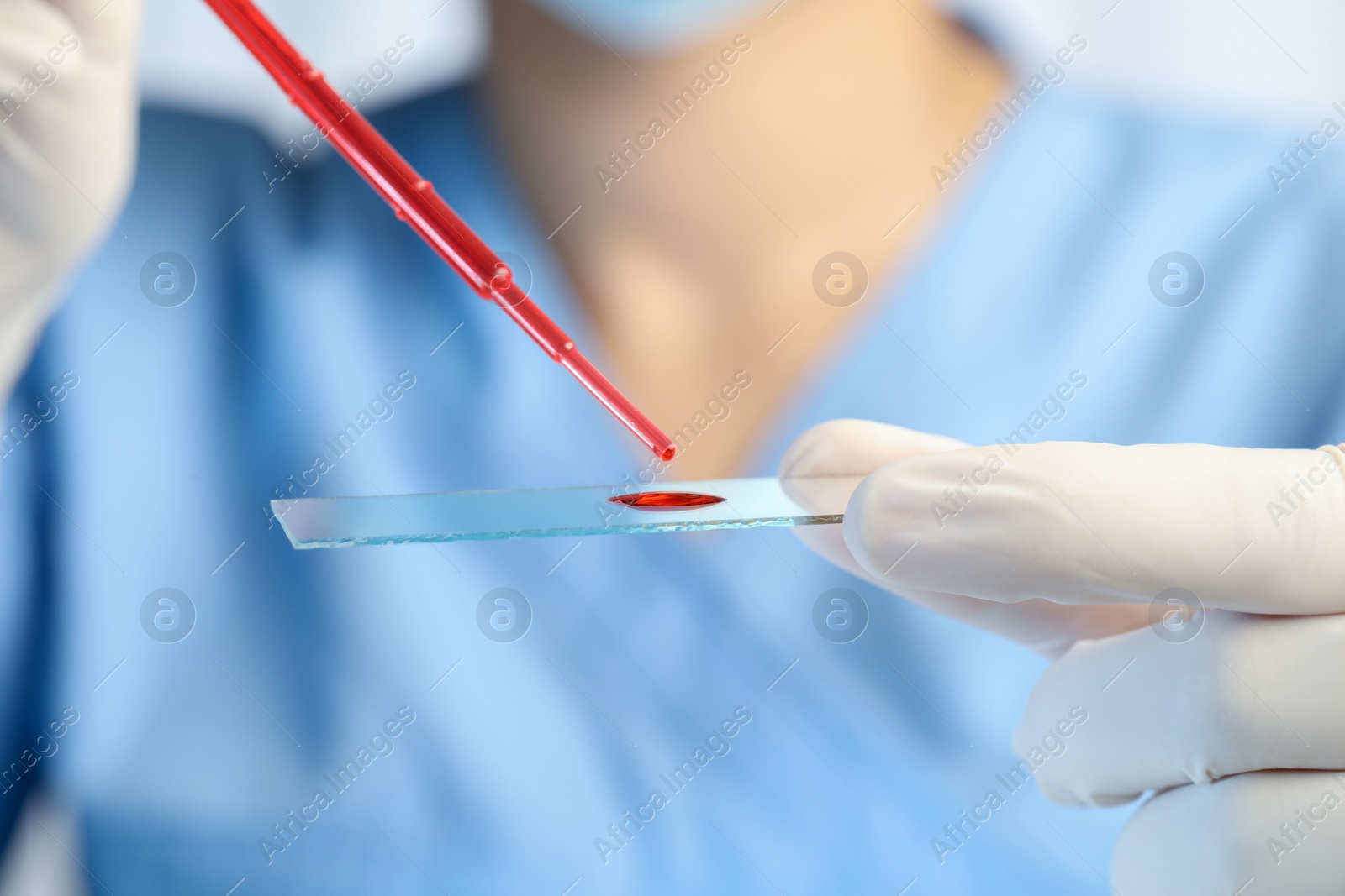 Photo of Scientist dripping sample of red liquid onto microscope slide, closeup