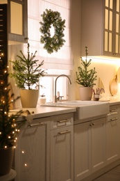 Photo of Beautiful kitchen decorated with potted firs. Interior design