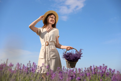 Photo of Young woman with wicker basket full of lavender flowers in field