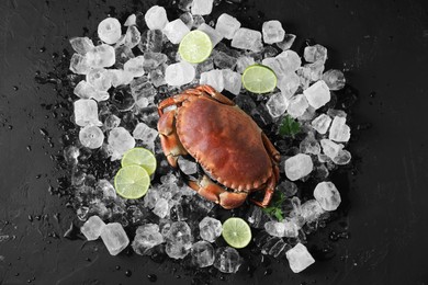 Photo of Delicious boiled crab, lime and ice on black textured table, flat lay